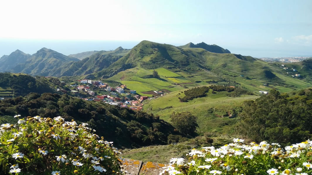 Grupo de Acción Rural de Tenerife