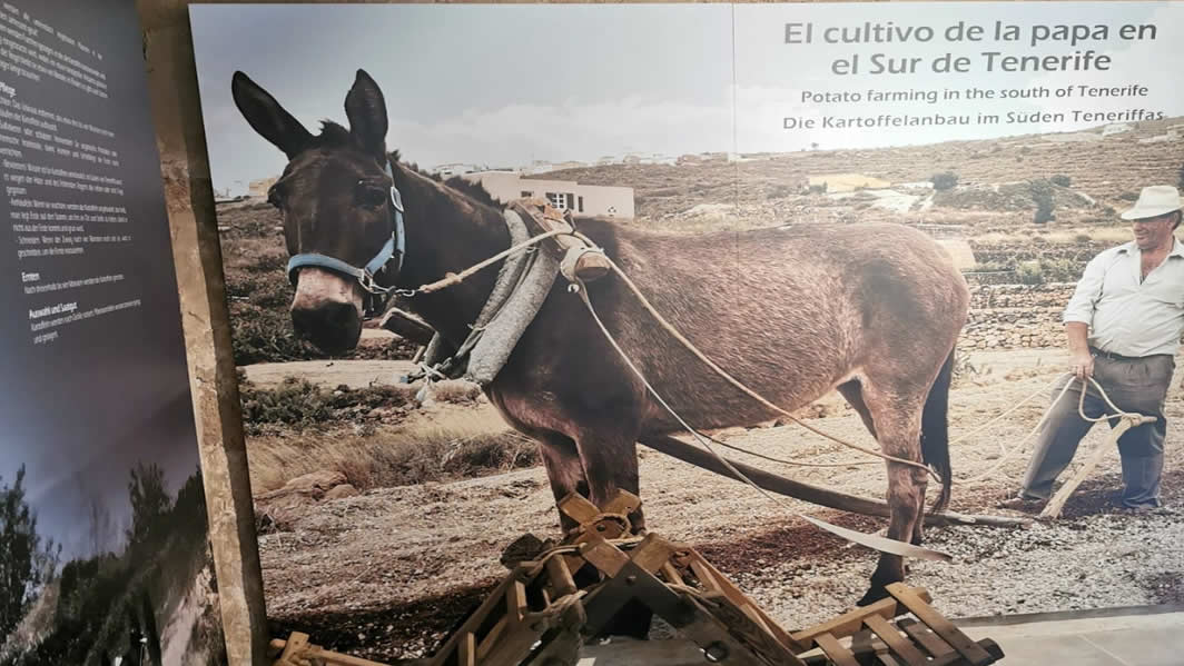 Grupo de Acción Rural de Tenerife